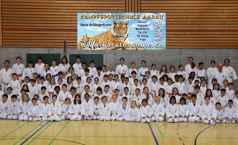 Probetraining Karate Aarau Kinder (6-12 Jahre)