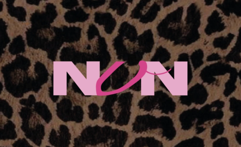NVN Opening Party