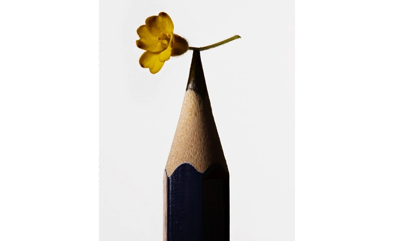 Pour tout faire, il faut une fleur