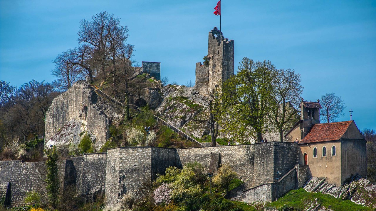 Ruine Stein