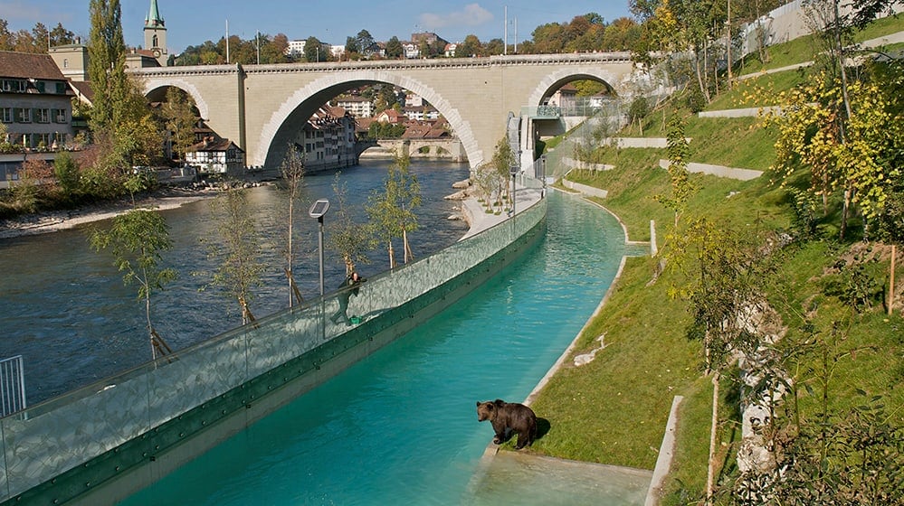 BärenPark