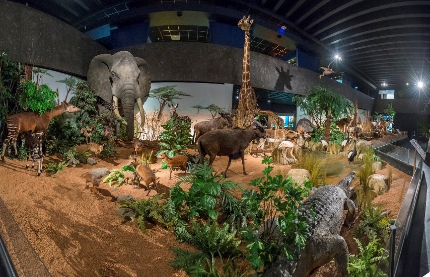Muséum d’histoire naturelle de Genève