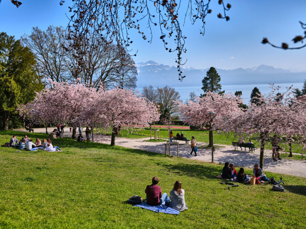 Parc de Mon Repos