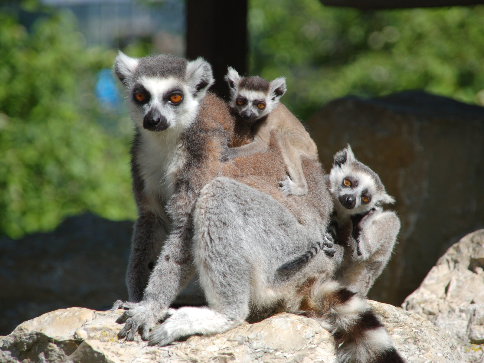 Erlebniswelt Seeteufel