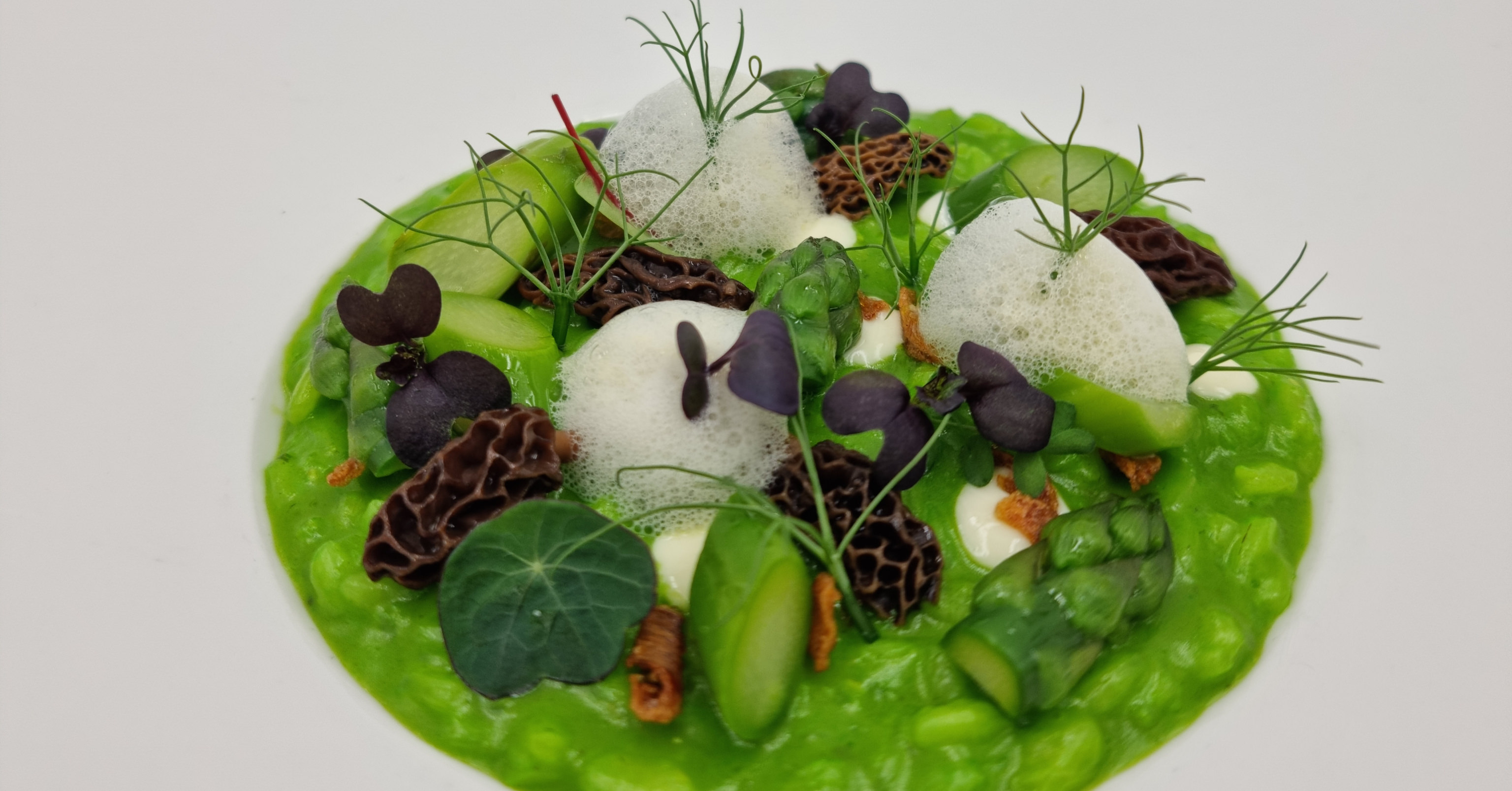 Käserei Restaurant Murten