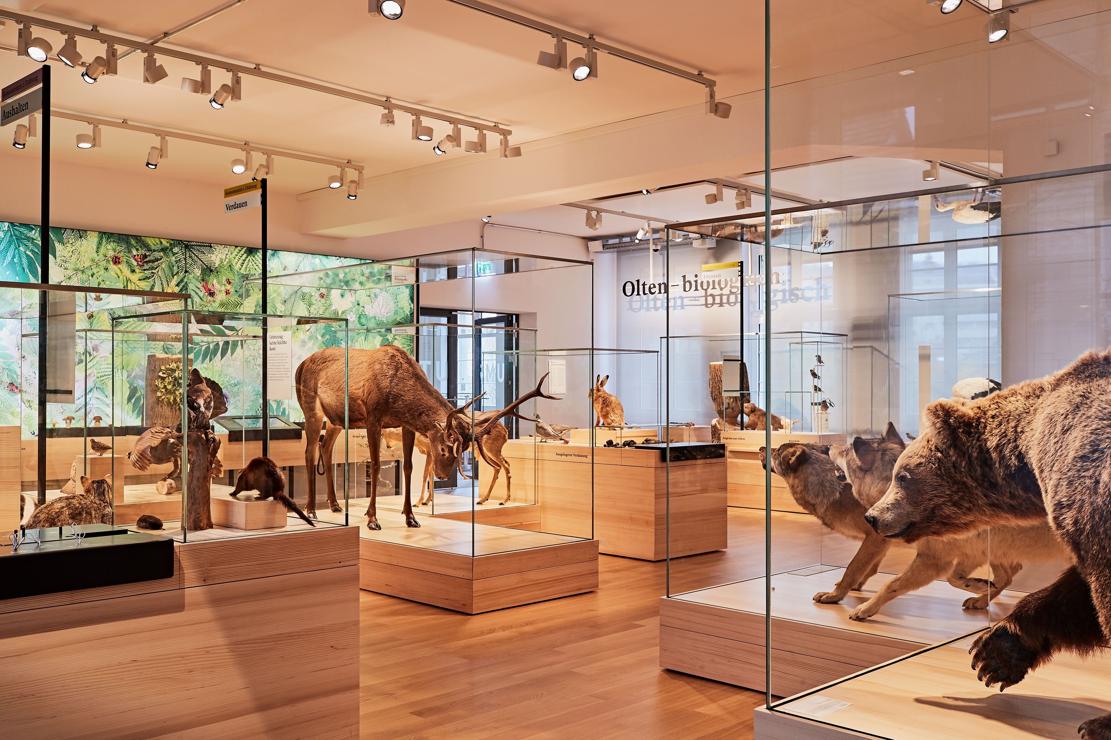 Naturmuseum Olten