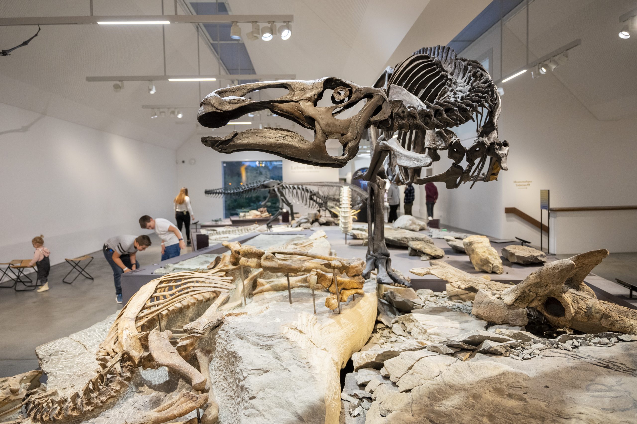 Naturmuseum St. Gallen