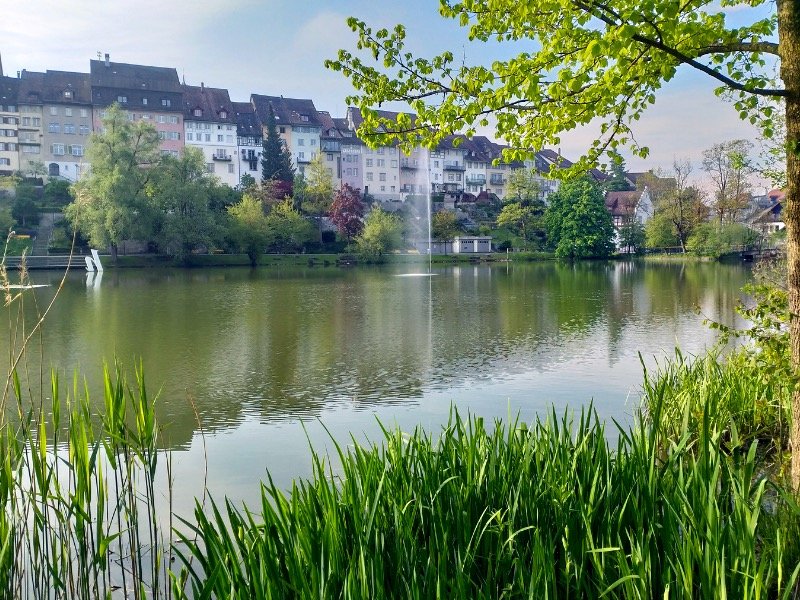 Stadtweier Wil