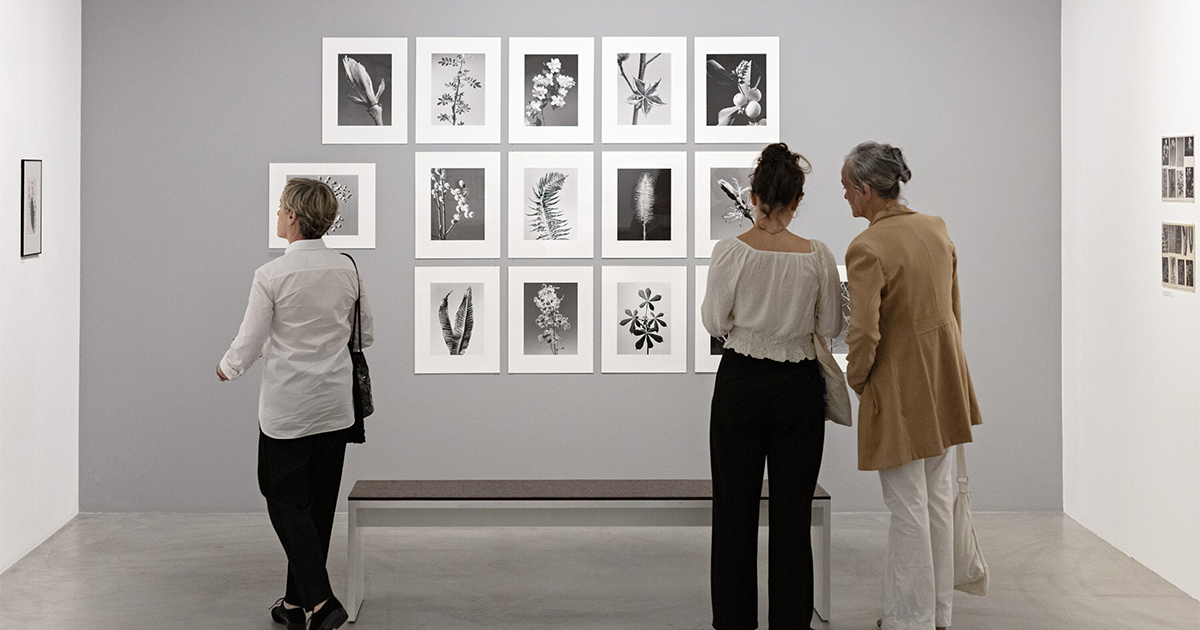 Fotostiftung Schweiz