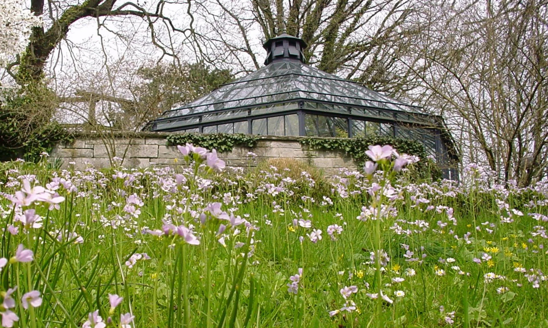 Alter Botanischer Garten
