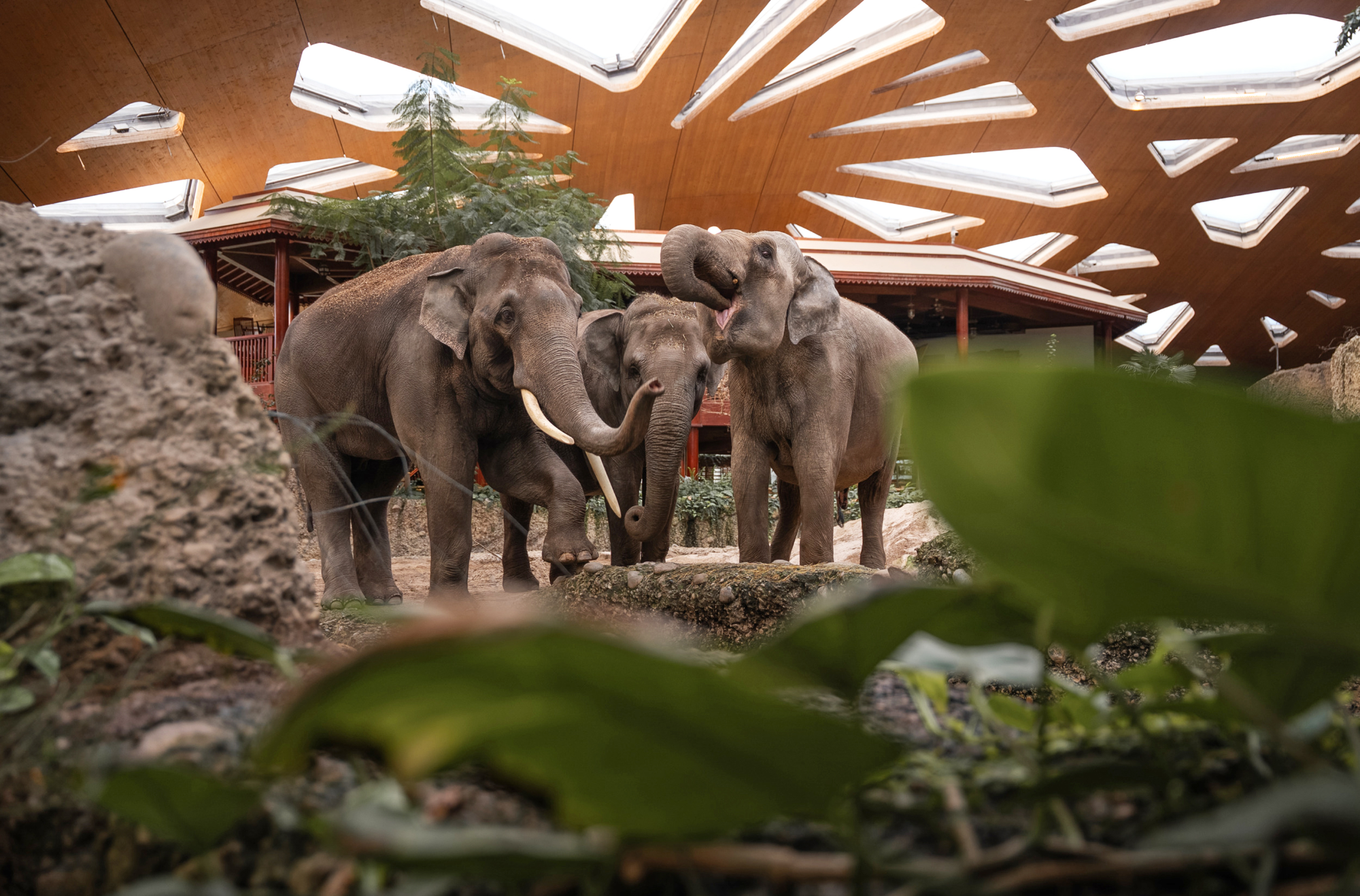 Zoo Zürich
