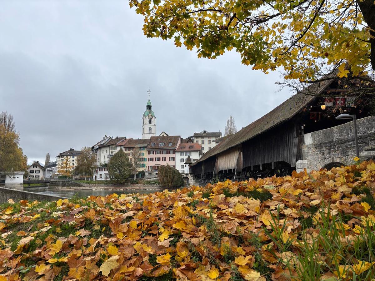 Die Alte Holzbrücke über die Aare mit der Oltner Altstadt im Hintergrund
