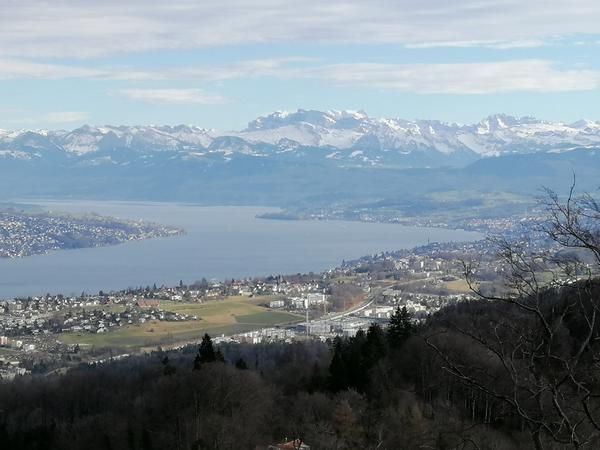 Aussicht vom Uetliberg über Zürich und den Zürichsee