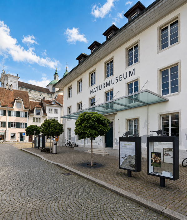 Aussenansicht Naturmuseum Solothurn