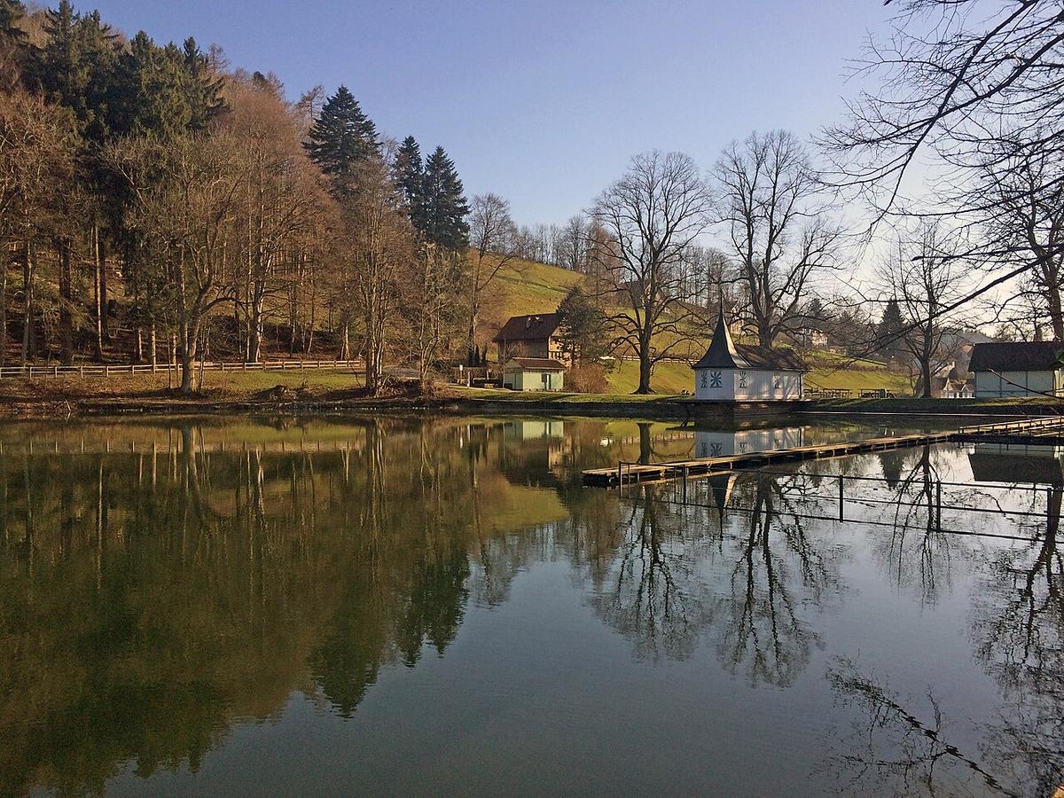 Badeweiher Drei Weieren oberhalb der Altstadt von St. Gallen