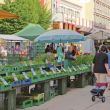 Wochenmarkt Grenchen