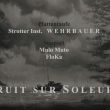 Bruit sur Soleure