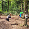 Wichtel Clock's Waldspielplatz